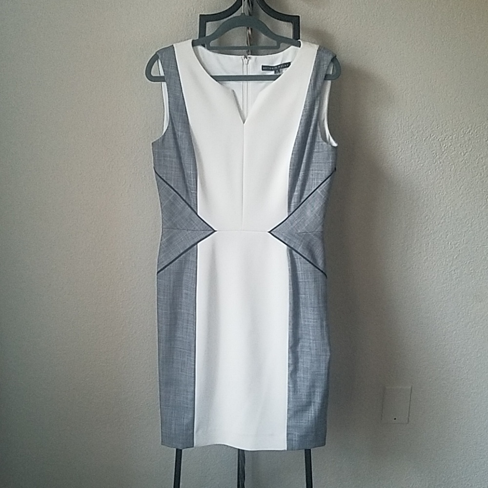Banana Republic Dress